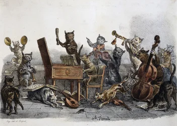 Ein Amateurkonzert, Karikatur von Katzen, die Musikinstrumente spielen, Stich von Carle Vernet (1758-1836), Frankreich