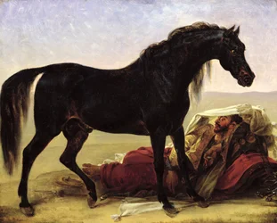 Ein Arabisches Pferd