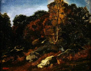 Herbst in Fontainebleau