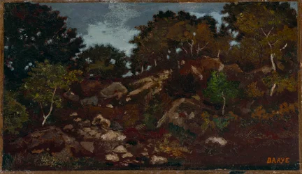 Felsen im Wald von Fontainebleau