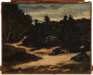 Chemin sableux en forêt de Fontainebleau