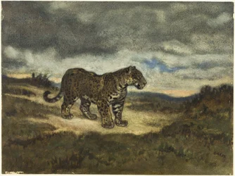 Jaguar stehend