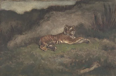 Tiger, 1810-75