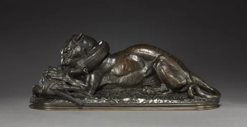 Tiger verschlingt einen Gavial, 1831
