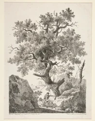 Ohne Titel [Mann sitzt am Baum]