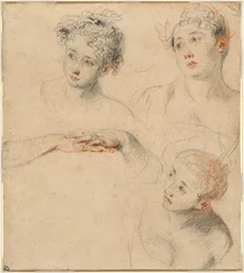 Drei Studien eines Frauenkopfes und eine Studie von Händen [recto]