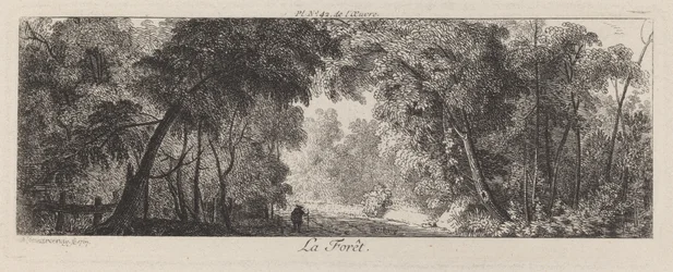 Der Wald