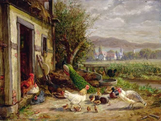 Hühner, Enten und ein Pfau an einem Kanal