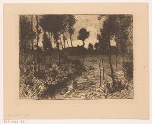 Waldweg am Abend