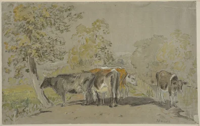 Landschaft mit Rindern