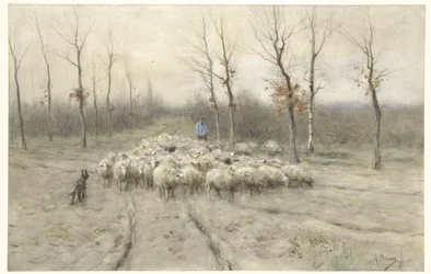 Schafherde auf der Heide bei Laren