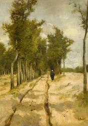 Die Torenlaan in Laren
