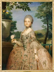 Marie-Louise de Parme, Ehefrau ihres Cousins
