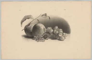 Äpfel, Beeren, Brombeere und Trauben