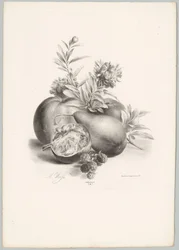 Blumen, Äpfel, Birne, Granatapfel und Brombeeren