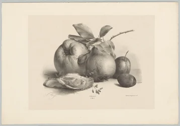 Früchte, Pflaumen und Austern