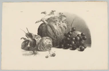 Kürbis, Trauben, Rose und Erdbeeren
