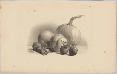 Kürbis, Pfirsiche, Aprikose, Pflaumen und Haselnüsse