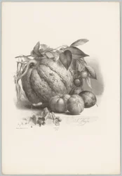 Kürbis, Tomaten und Kirschen