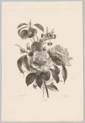 Rosen und andere Blumen