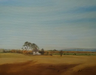 Haus und Felder, 2016