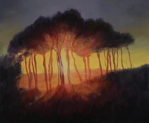 Wilde Bäume bei Sonnenuntergang, 2002