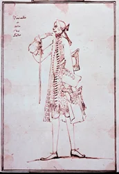 Porträt von Carlo Broschi genannt Farinelli (1705-1782) Italienischer Kastrat. Zeichnung von Anton Maria Zanetti (1680-1767). 18. Jahrhundert. Private Sammlung.