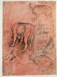 Hundestudien. Aulische Episode. Zeichnung von Antonio Pisano, genannt il Pisanello