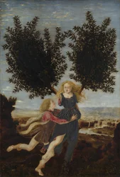 Apollo und Daphne, ca. 1470-1480
