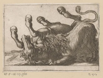 Ein Löwe beißt in den Hals eines Pferdes