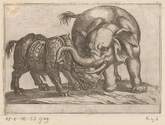 Ein Nashorn kämpft mit einem Elefanten