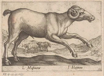 Geitachtige Dieren und Fabelwezens
