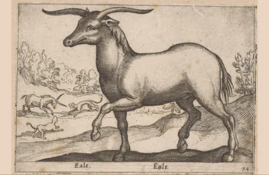 Pferd mit Hörnern