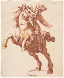 Steigendes Pferd und Reiter