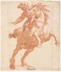 Aufbäumendes Pferd und Reiter