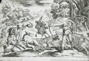 Hirschjagd
