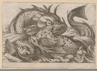 Zwei kämpfende Fische