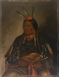 Che-tan-ce-ta Gelber Falke, ca. 1887