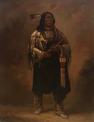 Tatanka Büffel, ca. 1887