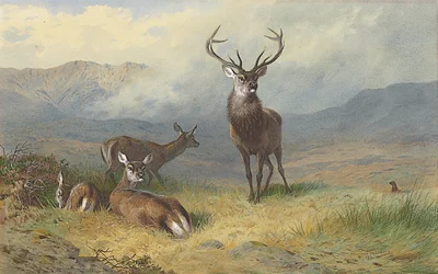 Monarch des Glen