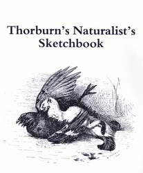 Titelblatt (Hermelin und Wildvogel), veröffentlicht von Book Club Associates