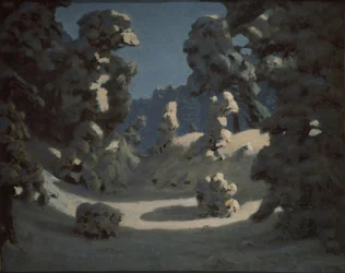 Sonnenflecken auf dem Raureif