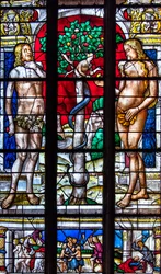 Kathedrale Sainte-Marie, Auch, Gers, 2018