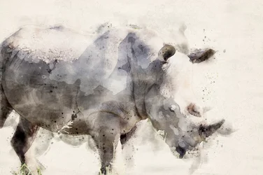 Anmutiger Aquarell Nashorn