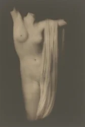 Modernes Torso