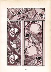 Ornamentale Bordüren mit Kakadus und Papageien