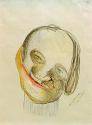 Karikatur 8
