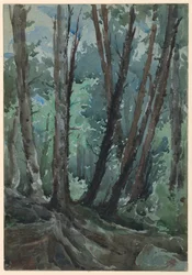 Wald