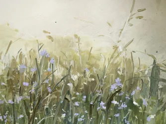 Blaue Blumen auf der Wiese