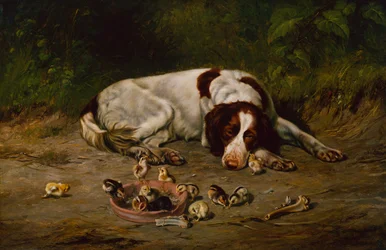 Braver Hund
